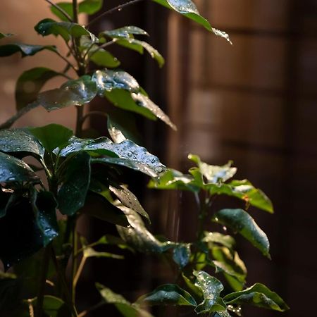 Kanazawa Machiya Kenroku Eksteriør bilde