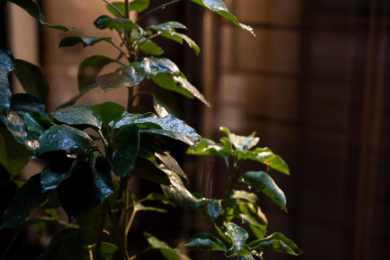 Kanazawa Machiya Kenroku Eksteriør bilde